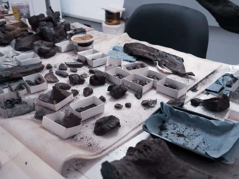 What Lies Beneath: The Neighbors Quietly Mapping History in Their Own Backyards